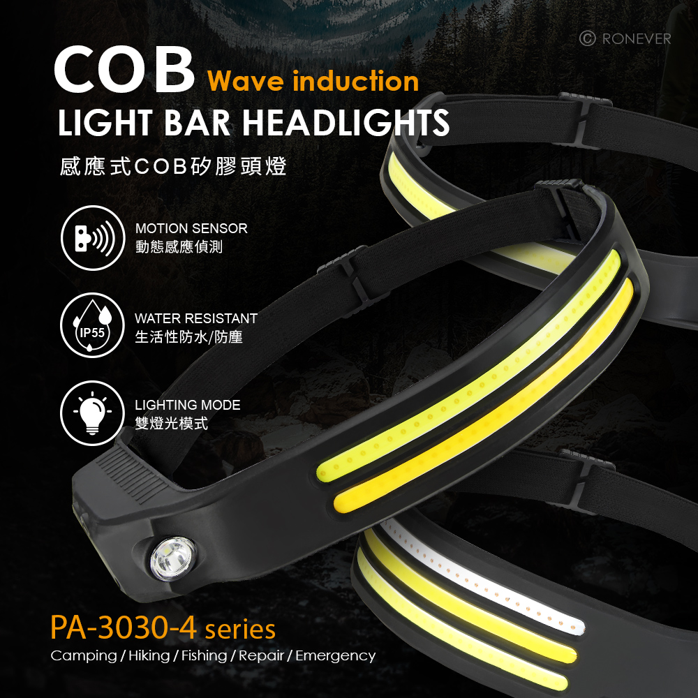 PA-3030-4-P-1 PA-3030-4-P-1