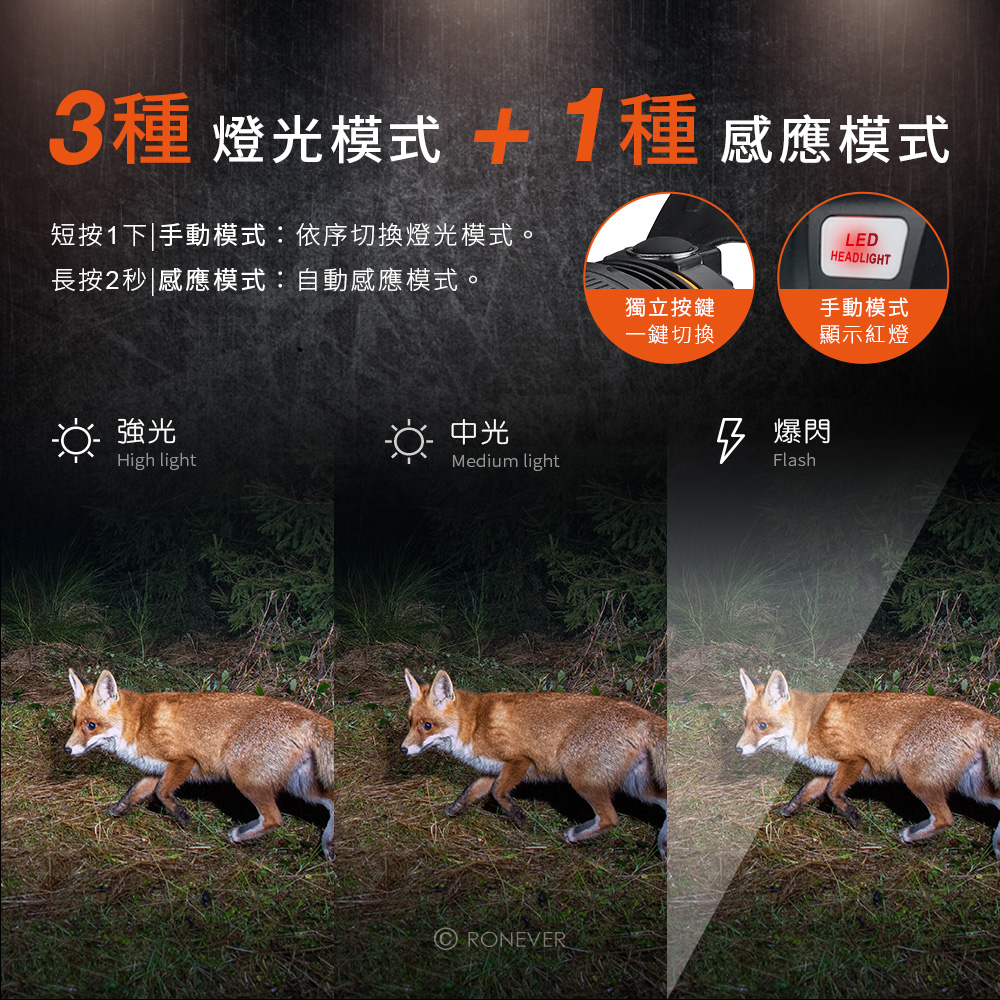 PA-P50-6-P-3 PA-P50-6-P-3