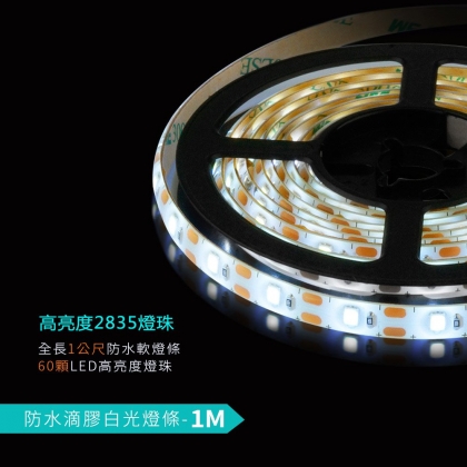 LED防水IP65燈條-白光1M